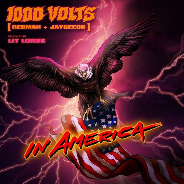 کاور آهنگ In America از Redman