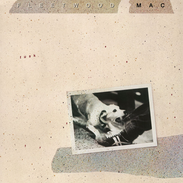 کاور آهنگ I Know I'm Not Wrong - 2015 Remaster از Fleetwood Mac