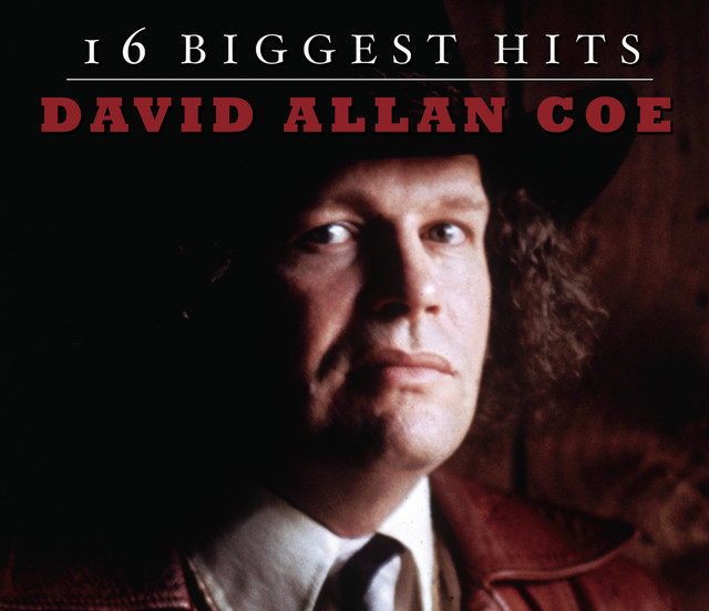 کاور آهنگ Son of the South از David Allan Coe