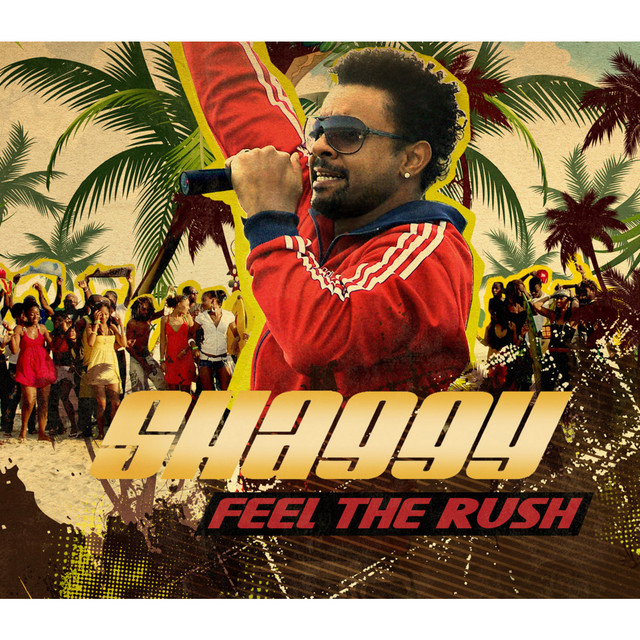 کاور آهنگ Feel The Rush - Samim's Feel The Robidog Remix