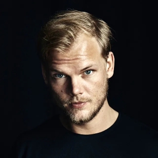 کاور آهنگ The Days - Henrik B Remix از Avicii, Henrik B