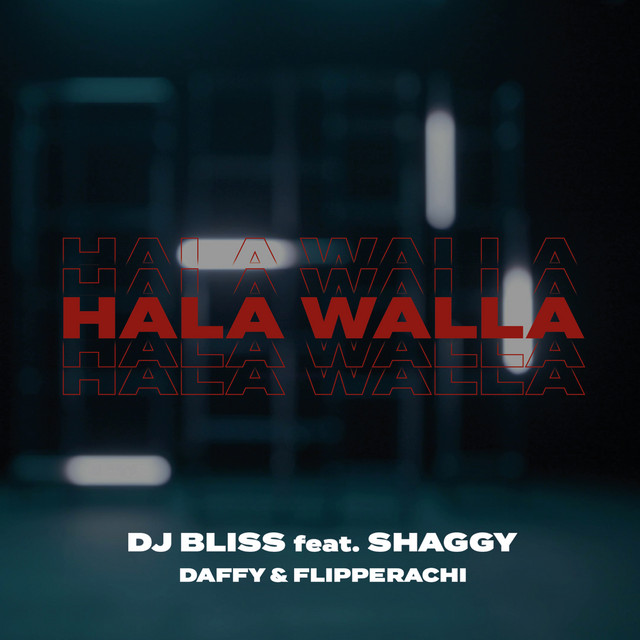 کاور آهنگ Hala Walla از Shaggy, Flipperachi