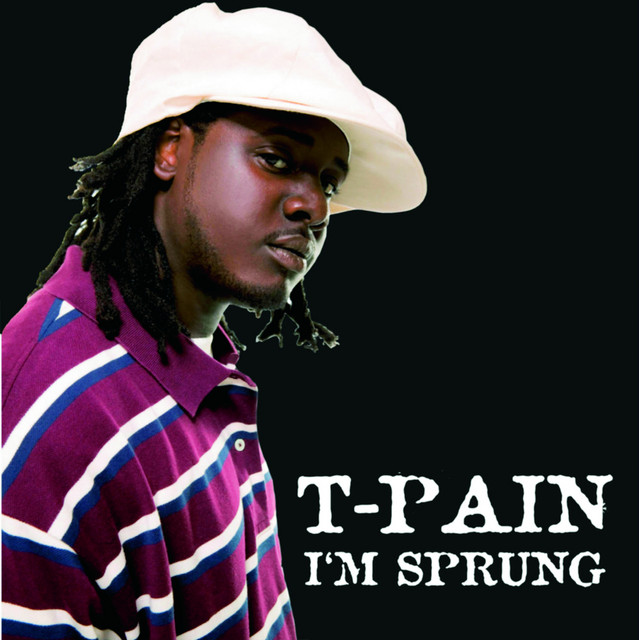 کاور آهنگ I'm Sprung 2 (feat. YoungBloodZ & Trick Daddy) از T-Pain, Trick Daddy, Youngbloodz