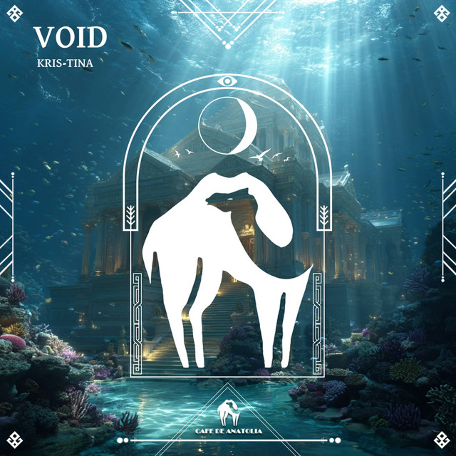 کاور آهنگ Void از Cafe De Anatolia