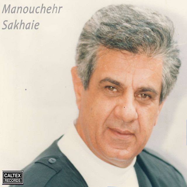 کاور آهنگ افسانه شب از منوچهر سخایی