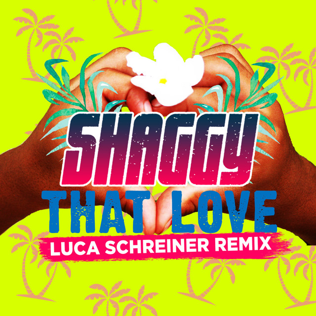 کاور آهنگ That Love - Luca Schreiner Remix از Shaggy, Luca Schreiner