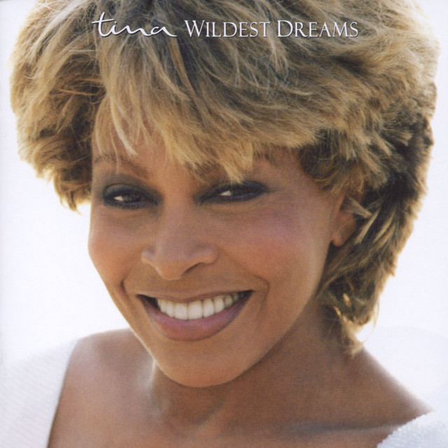کاور آهنگ Confidential از Tina Turner