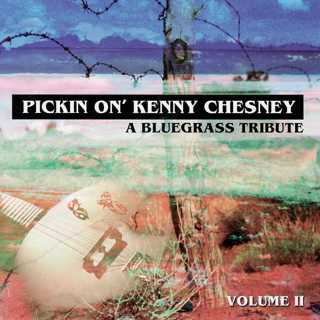 کاور آهنگ Whatever It Takes از Pickin' On Series