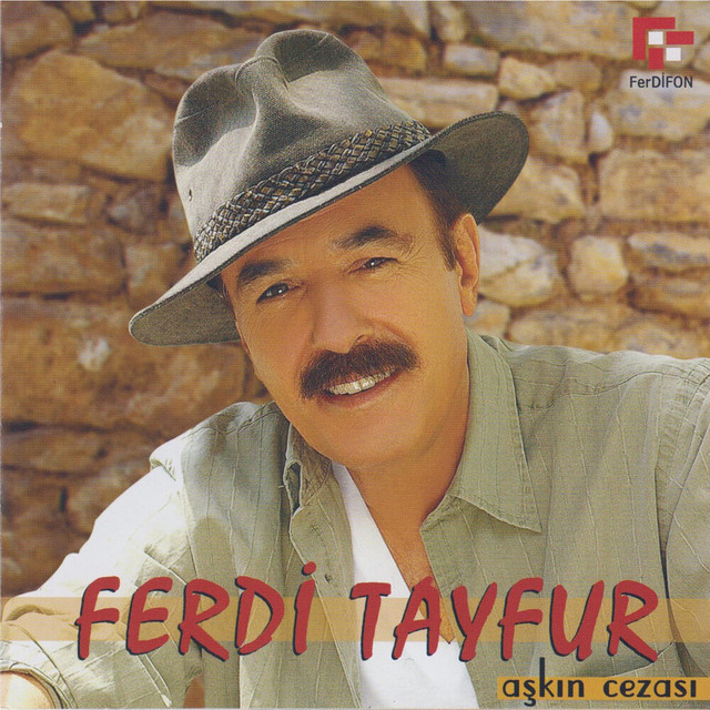 کاور آهنگ Sevdiğim Biri Var (Diyemedin mi?) از Ferdi Tayfur