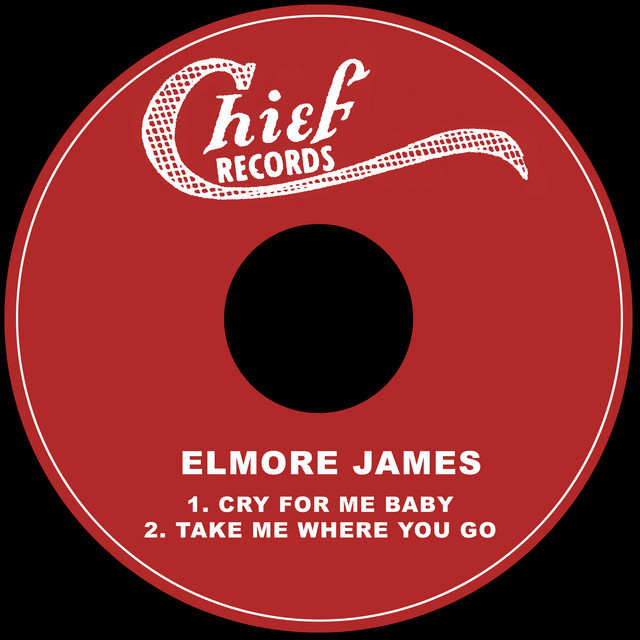 کاور آهنگ Take Me Where You Go از Elmore James
