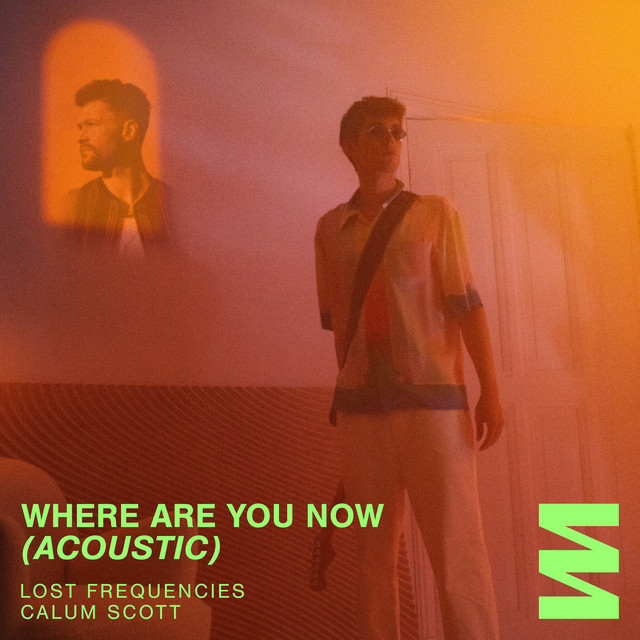 کاور آهنگ Where Are You Now - Acoustic از Calum Scott, Lost Frequencies