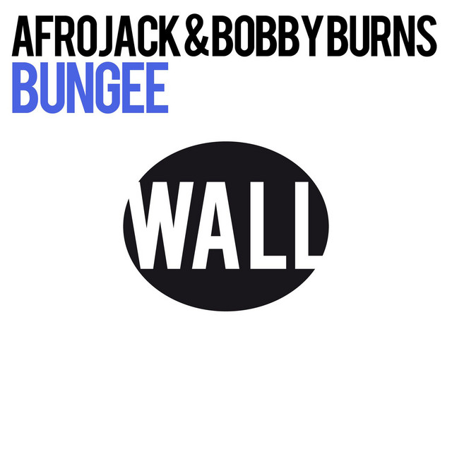 کاور آهنگ Bungee از AFROJACK