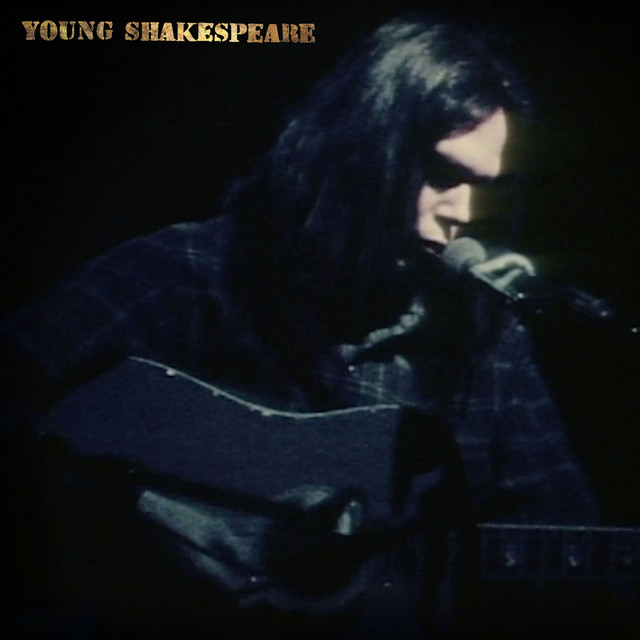 کاور آهنگ Don't Let it Bring You Down - Live از Neil Young