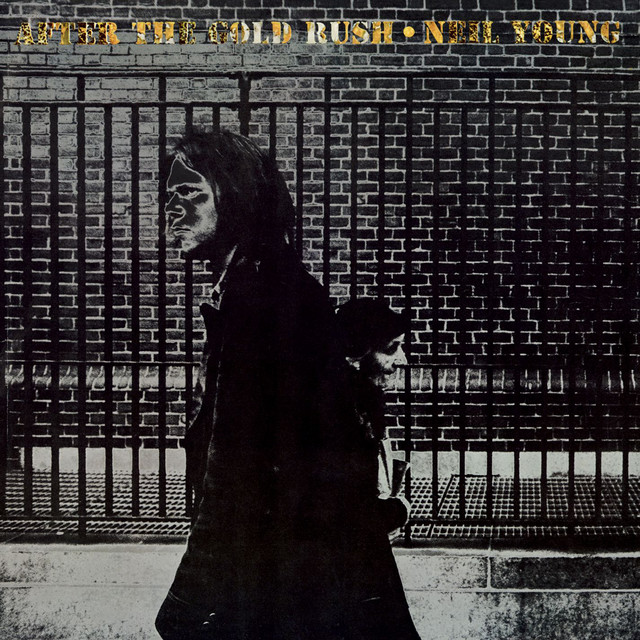کاور آهنگ Don't Let It Bring You Down از Neil Young