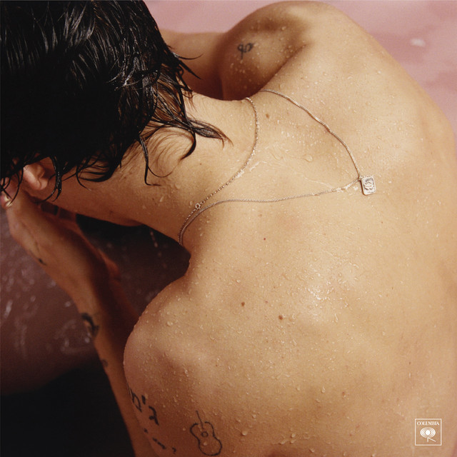 کاور آهنگ Meet Me in the Hallway از Harry Styles