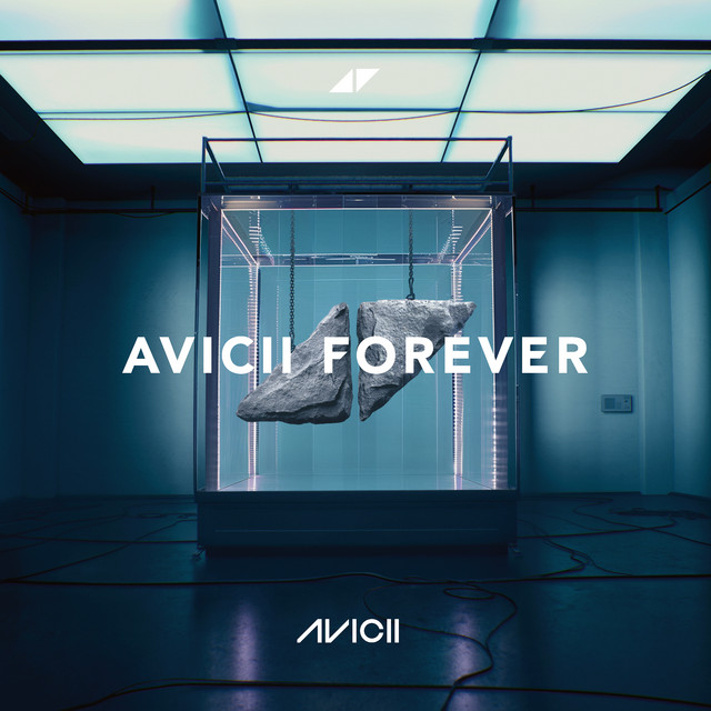 کاور آهنگ Friend Of Mine از Avicii, Vargas & Lagola