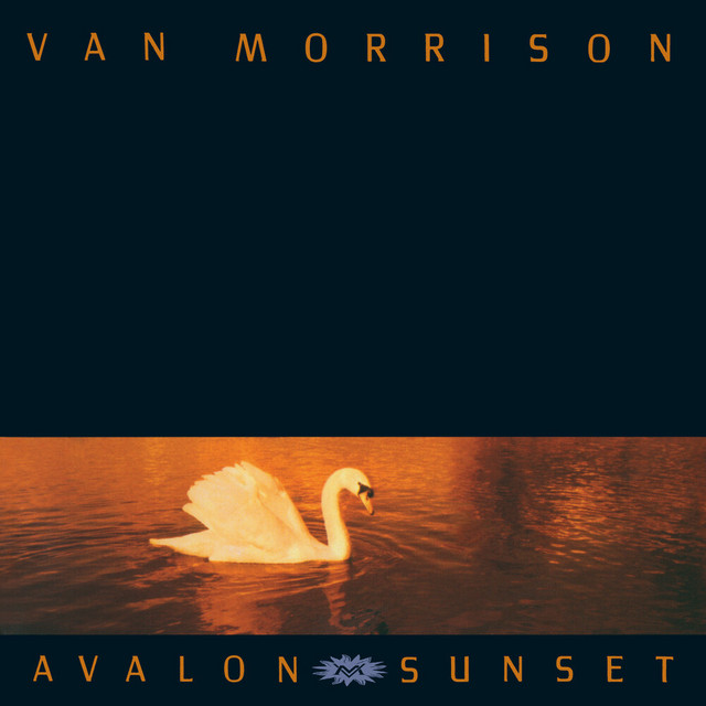 کاور آهنگ I'm Tired Joey Boy از Van Morrison