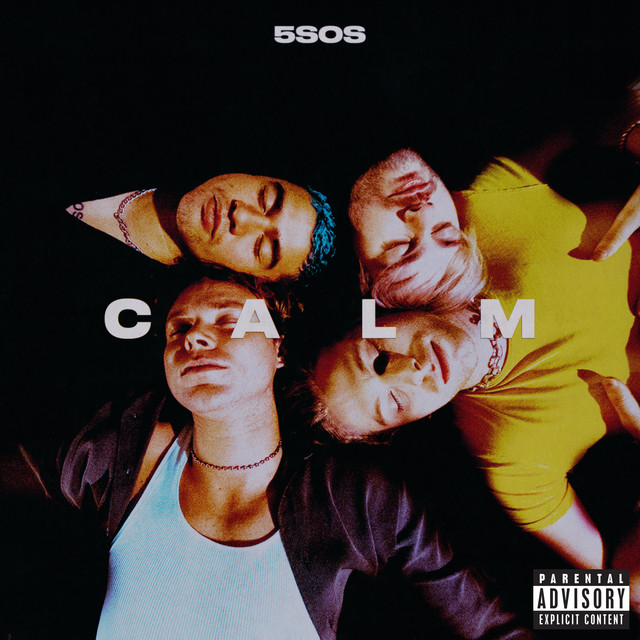 کاور آهنگ Not In The Same Way از 5 Seconds of Summer
