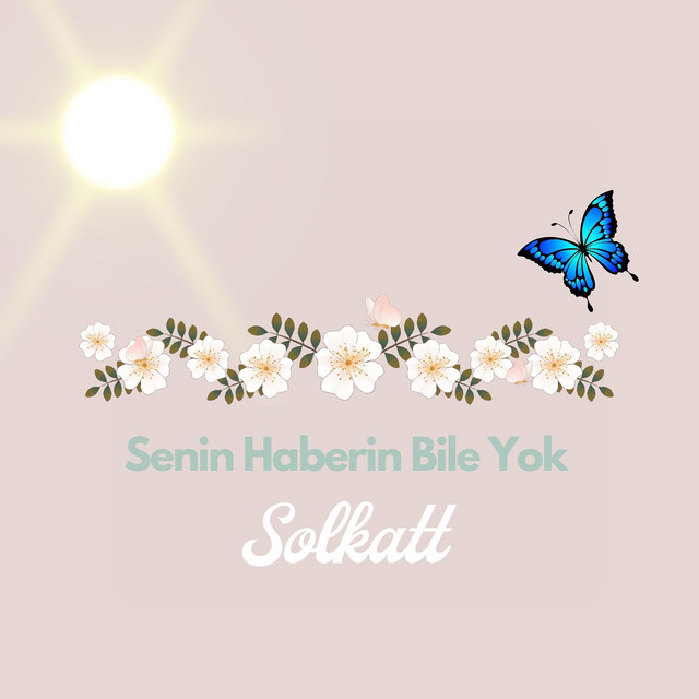 کاور آهنگ Senin Haberin Bile Yok از Solkatt