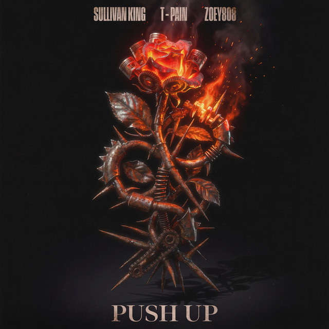 کاور آهنگ Push Up از T-Pain, Sullivan King