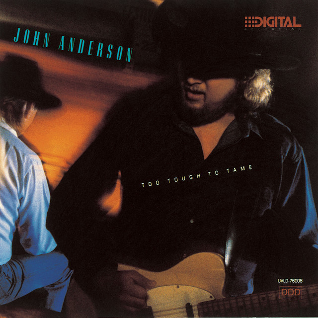 کاور آهنگ Who's Lovin' My Baby از John Anderson
