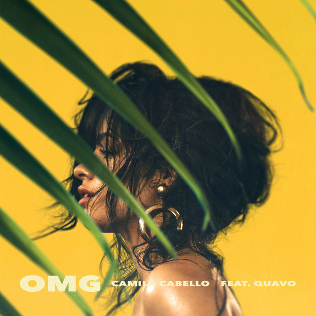 کاور آهنگ OMG (feat. Quavo) از Camila Cabello, Quavo