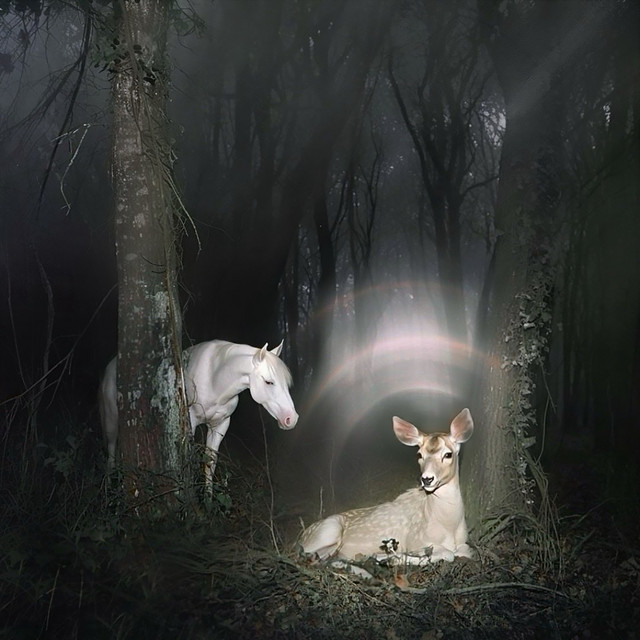 کاور آهنگ Don't Put It All On Me (feat. Fleet Foxes) از Fleet Foxes, Noah Cyrus
