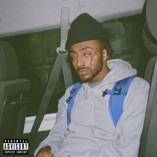 کاور آهنگ REEL IT IN (feat. Gucci Mane) - Remix از Gucci Mane, Amine