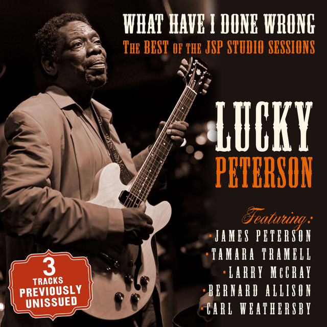 کاور آهنگ Never Coming Back از Lucky Peterson