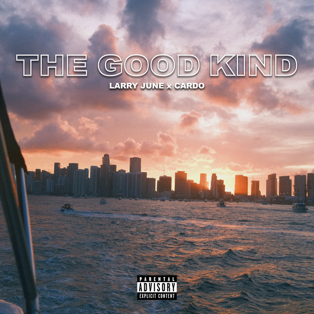 کاور آهنگ The Good Kind از Larry June