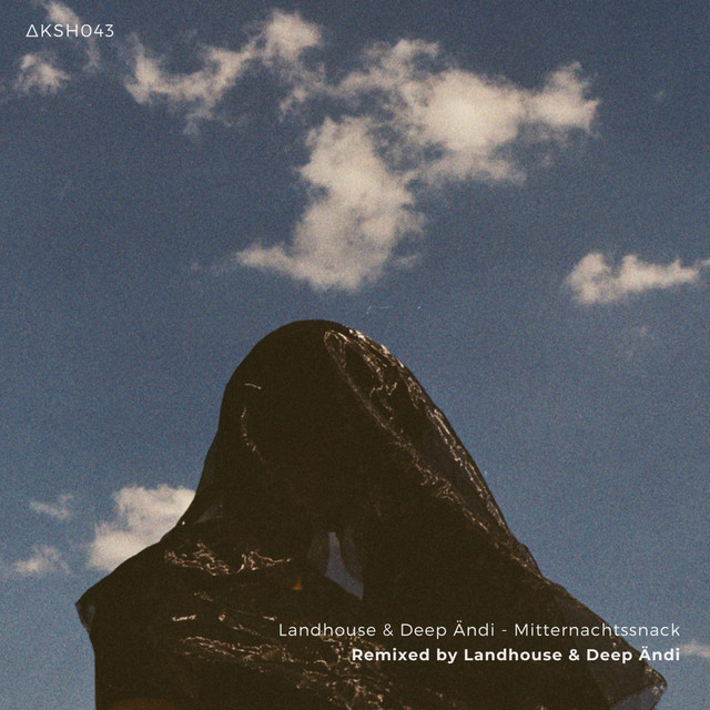 کاور آهنگ Wega - Landhouse Remix از Landhouse