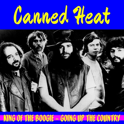کاور آهنگ Going up the Country از Canned Heat