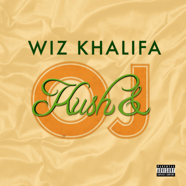 کاور آهنگ Never Been (Remix) از Wiz Khalifa