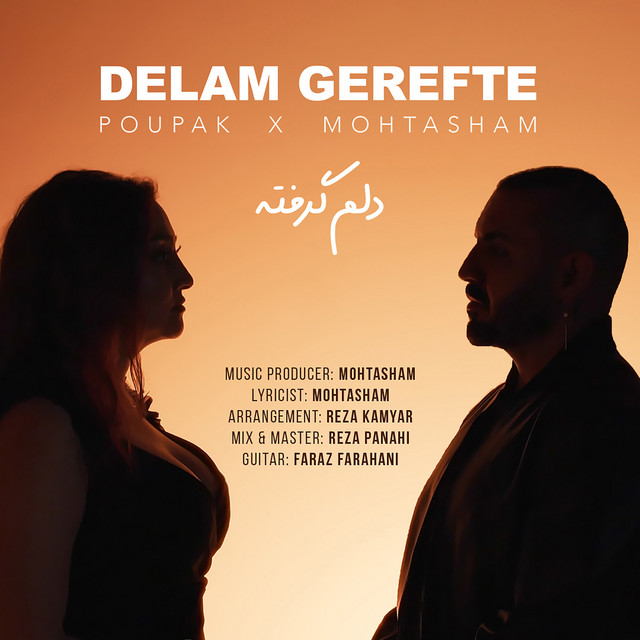 کاور آهنگ دلم گرفته از محتشم, پوپک