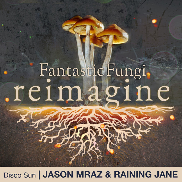 کاور آهنگ Disco Sun - Fantastic Fungi: Reimagine از Jason Mraz