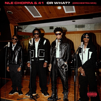 کاور آهنگ Or What (feat. 41 & Kyle Richh) - Orchestra Mix از NLE Choppa, Kyle Richh, 41, EMRLD, LRBG, Dan Chmielinski