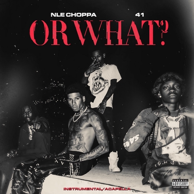 کاور آهنگ Or What - Instrumental از NLE Choppa, Kyle Richh, 41