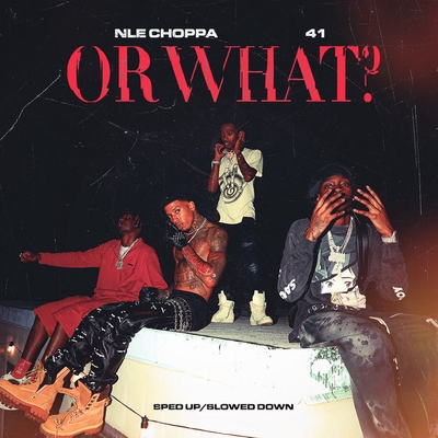 کاور آهنگ Or What - Sped Up از NLE Choppa, Kyle Richh, 41