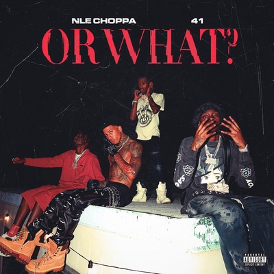 کاور آهنگ SL#T ME OUT 2 از NLE Choppa, Kyle Richh, 41