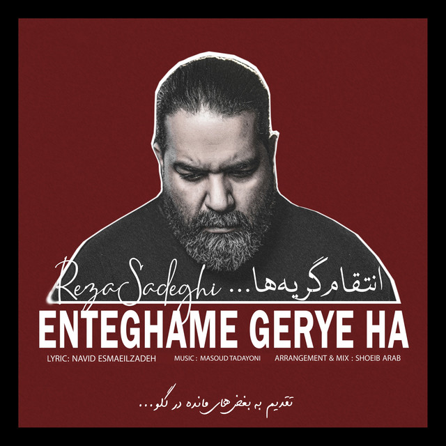 کاور آهنگ انتقام گریه‌ها از رضا صادقی