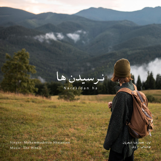 کاور آهنگ نرسیدن‌ها - بازآفرینی اثر محمدرضا شجریان از دِ وِیل