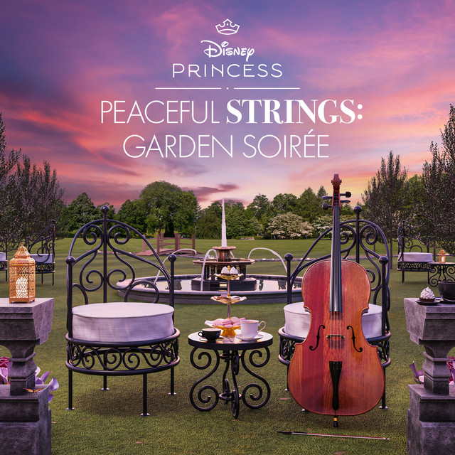 کاور آهنگ Something That I Want از Disney, Disney Peaceful Strings