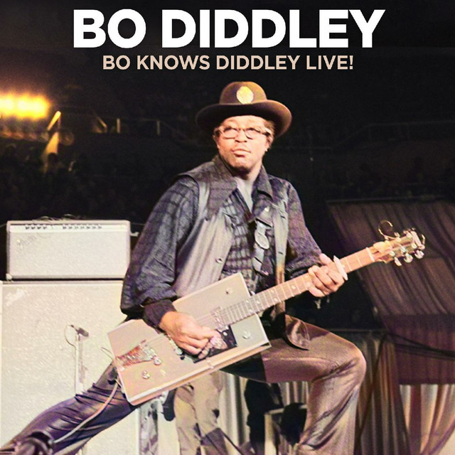 کاور آهنگ Bo Put The Rock In Rock & Roll - Live از Bo Diddley