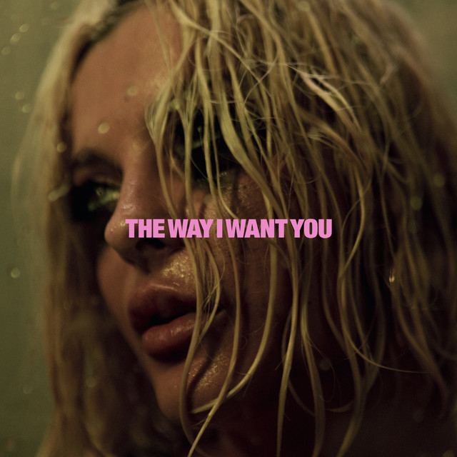 کاور آهنگ The Way I Want You از Bebe Rexha