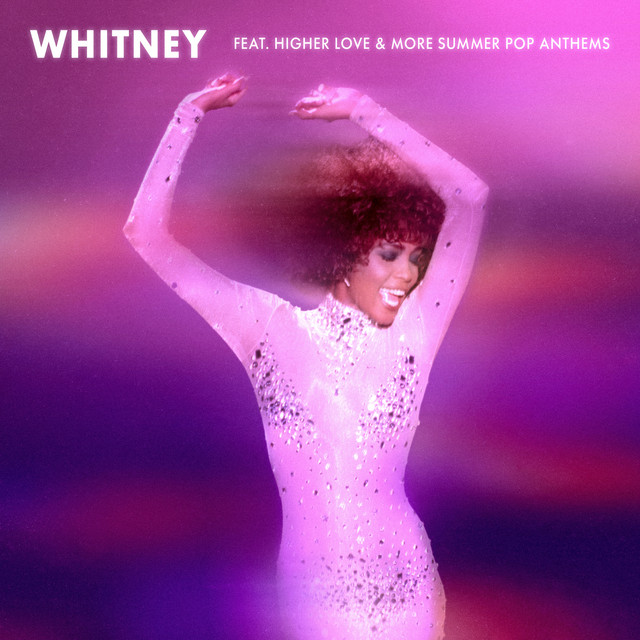 کاور آهنگ What About Us از Whitney Houston, P!nk