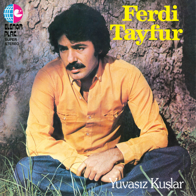 کاور آهنگ Leyla از Ferdi Tayfur