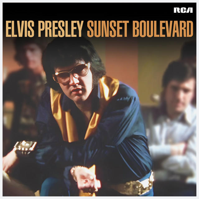 کاور آهنگ Woman Without Love از Elvis Presley