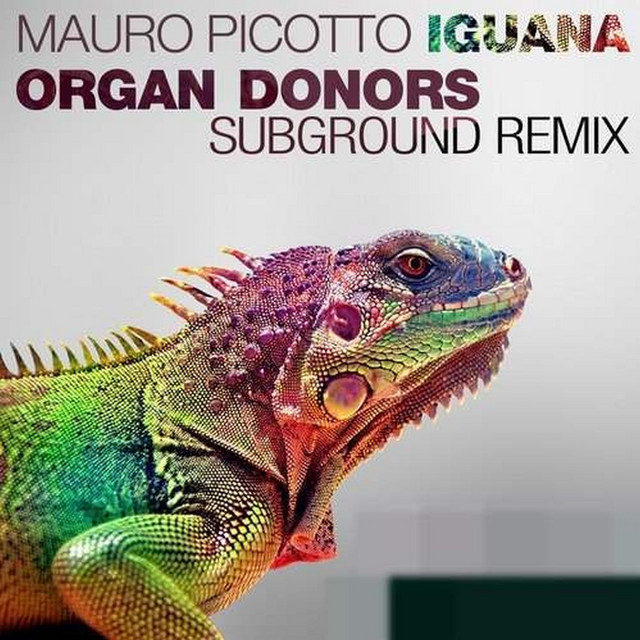 کاور آهنگ Iguana (Organ Donors Subground Remix) از Mauro Picotto