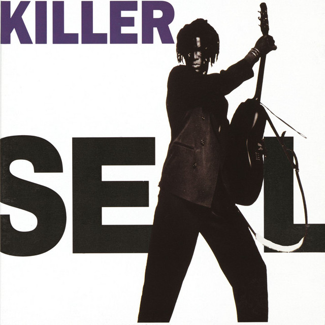 کاور آهنگ Killer - Single Version از Seal