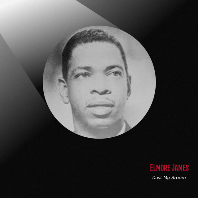 کاور آهنگ Sunny Land از Elmore James